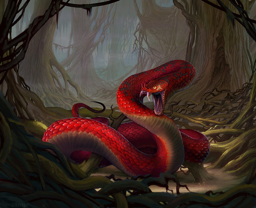 Pherigo의 송곳니를 드러내고 있는 붉은 뱀. 배경 ., 뱀 예술 HD 월페이퍼