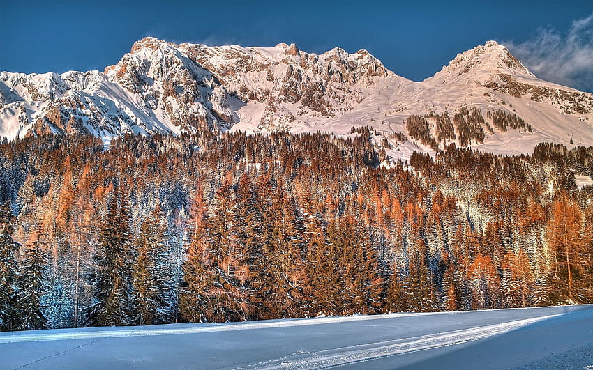 ฤดูหนาว ธรรมชาติ ต้นไม้ ภูเขา หิมะ ป่า วอลล์เปเปอร์ HD