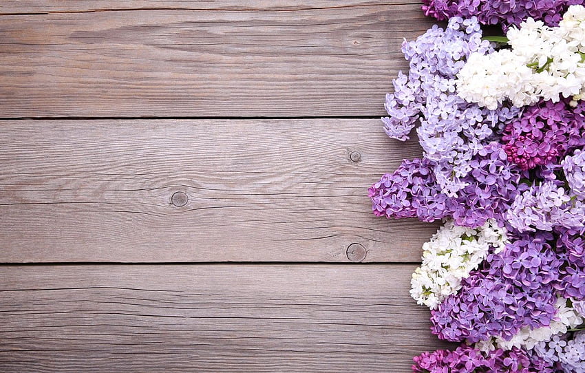 flores, fundo, madeira, flores, lilás, roxo, lilás para, seção цветы, Floral de madeira papel de parede HD