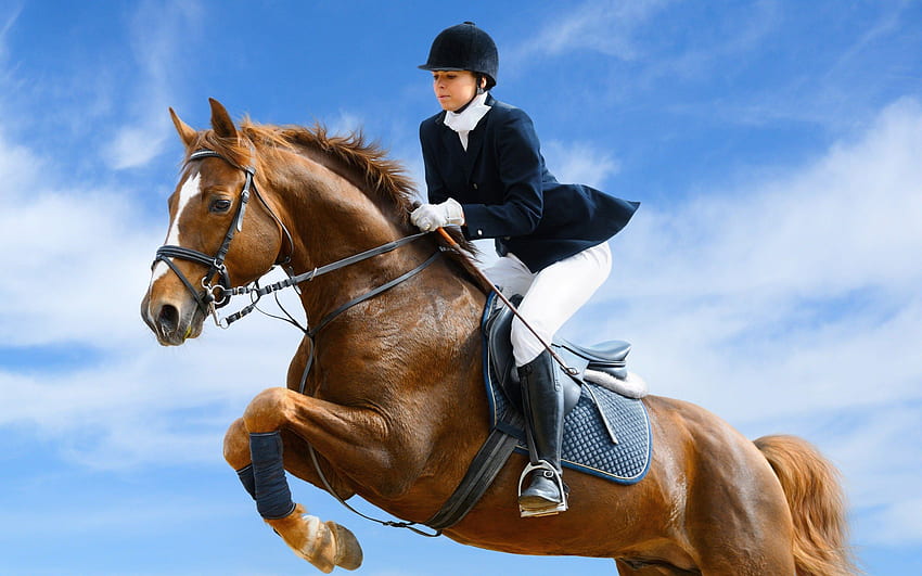 Piękny koń i dżokej – panoramiczny. Konie, Nauka jazdy konnej, Jeździec konny Tapeta HD
