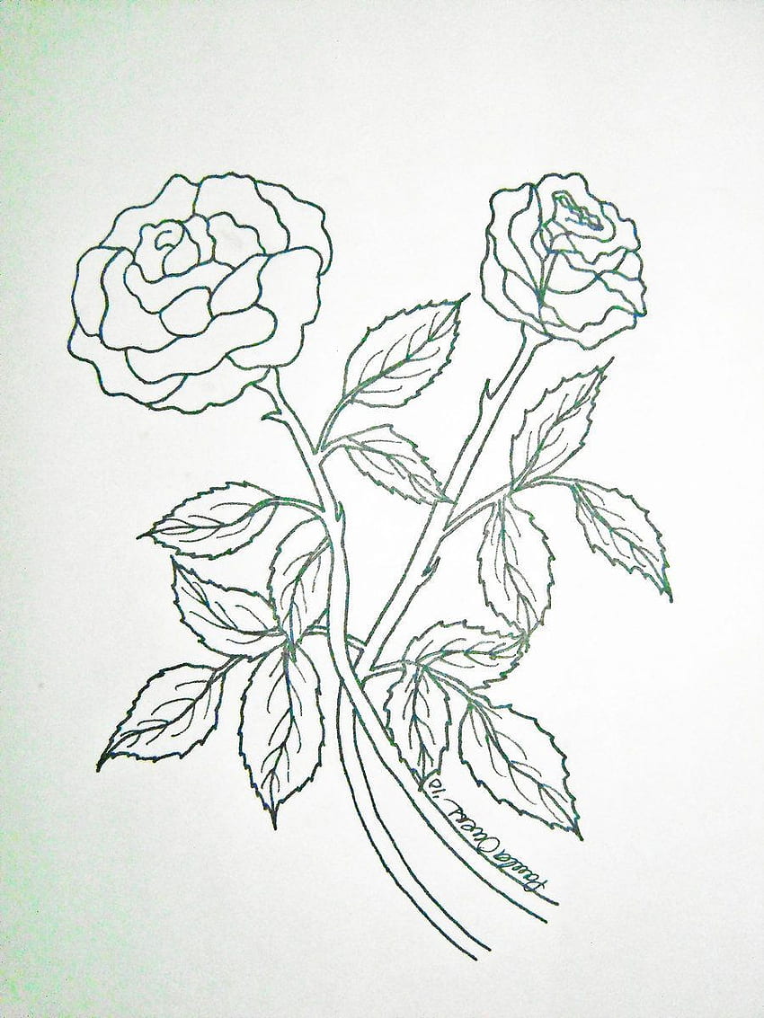 Rose Flower Drawing || Easy Rose Pencil Drawing || Pencil Drawing || Pencil  Shading - YouTube