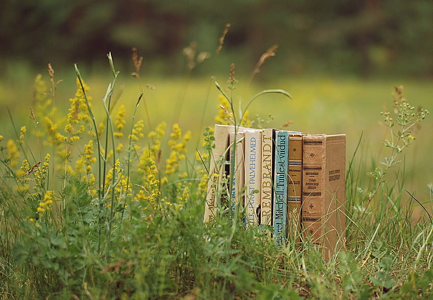 หญ้า, หนังสือ, เบ็ดเตล็ด, เบ็ดเตล็ด, อารมณ์, กอง, กอง วอลล์เปเปอร์ HD