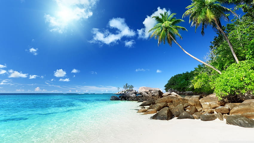 Paradise Beach Ultra Background for U TV : & UltraWide & Laptop : Tablet : Smartphone, Summer Beach Paradise HD wallpaper