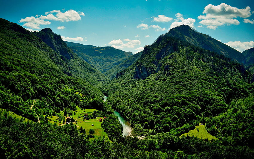Grüner Berg, Dschungelberg HD-Hintergrundbild