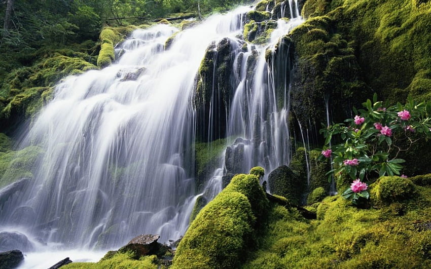 Cachoeiras Em cascata, cachoeiras, montanha papel de parede HD