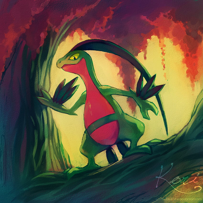 Grovyle. Pokemon art, Pokemon, Pokémon species HD phone wallpaper