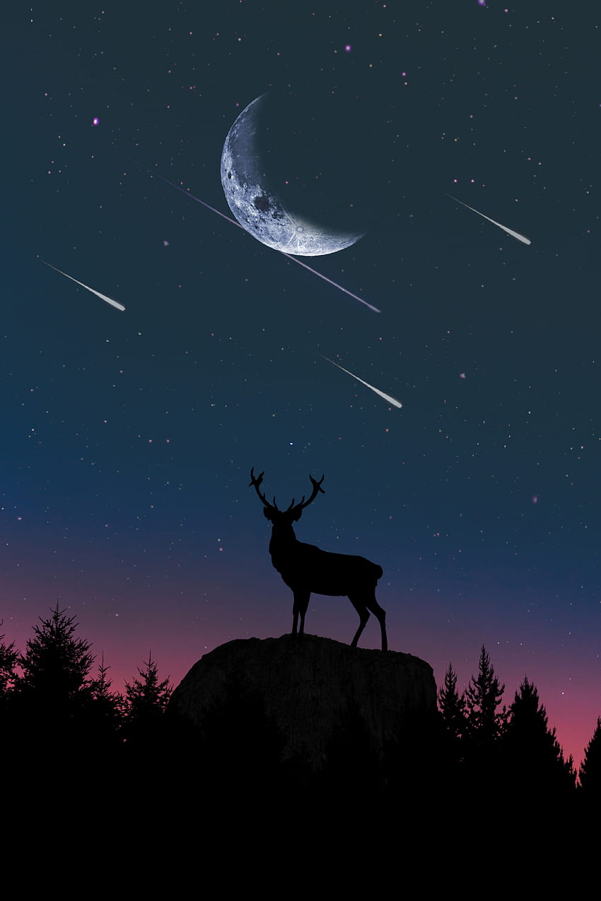 Dämmerung, Mond, Vektor, Silhouette, Abenddämmerung, Hügel, Hirsch HD-Handy-Hintergrundbild