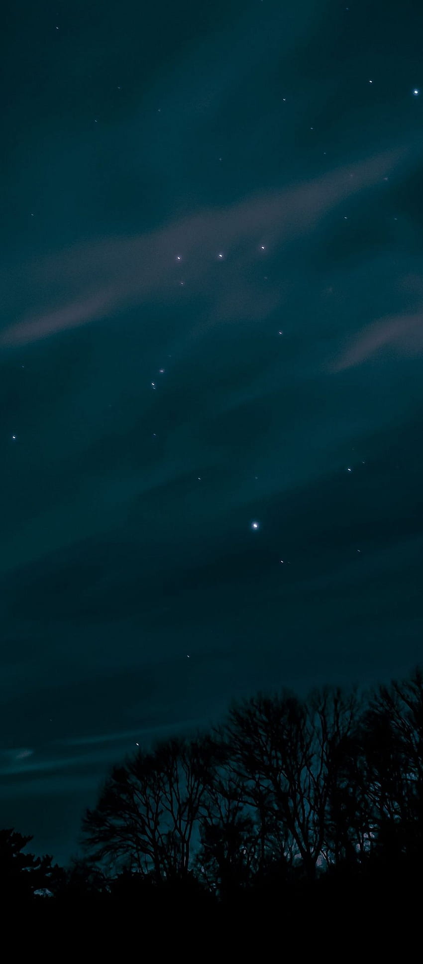 Night Sky Stars Trees - [], 1080x2460 HD phone wallpaper