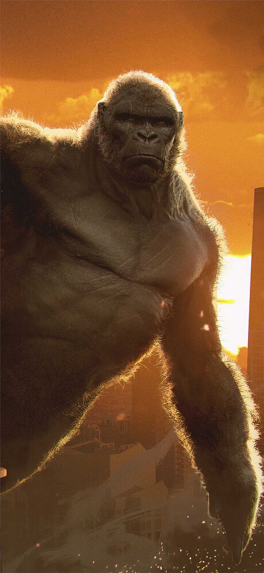 iPhone King Kong — niesamowity, król goryli Tapeta na telefon HD
