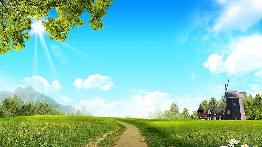 hari musim panas yang cerah, kincir angin, ladang, jalan, rumput, matahari Wallpaper HD