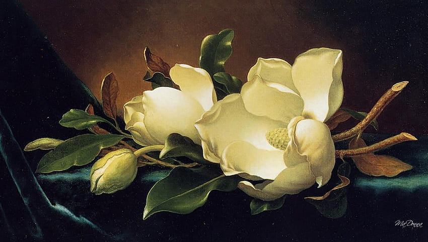 Magnolia Blooms, still life, painting, blossoms, flowers, fragrant, blooms, Chinese HD wallpaper