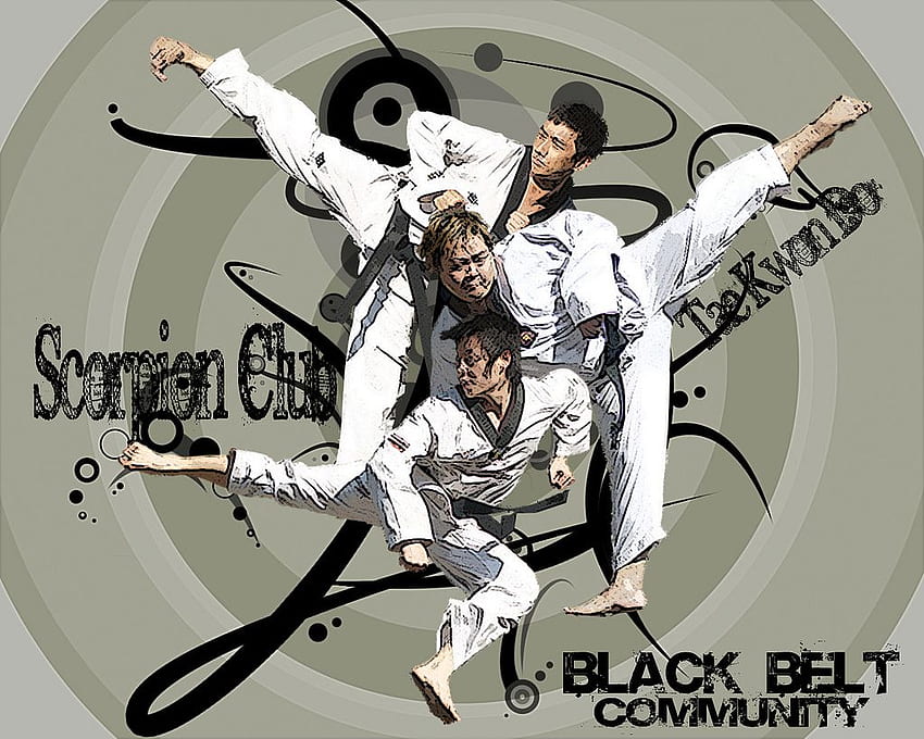 Scorpion Taekwondo Black Belt HD wallpaper