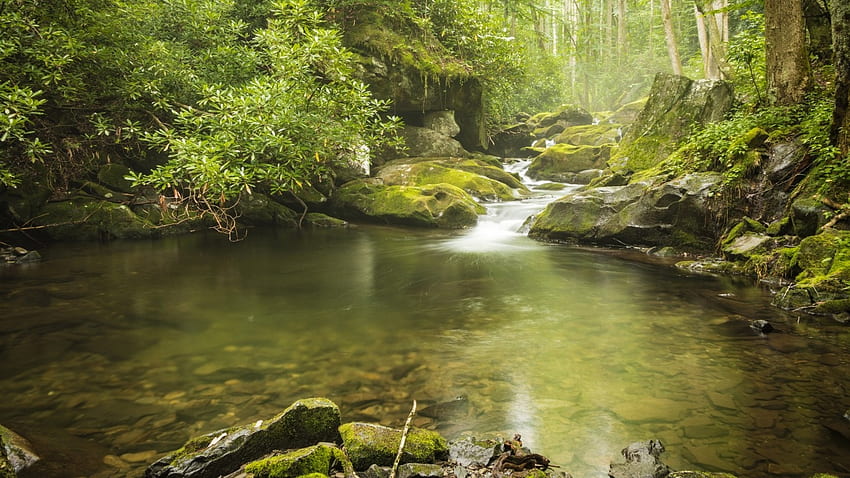 Park Narodowy Great Smoky Mountains, drewno, drzewa, kaskady, przyroda, las, strumień Tapeta HD