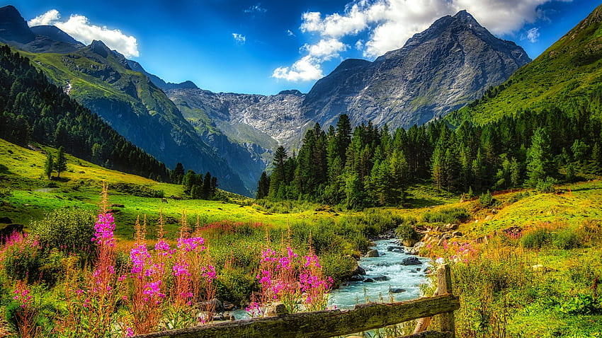 오스트리아 알프스의 블루 스트림, 구름, 하늘, 꽃, 산, 풍경 HD 월페이퍼