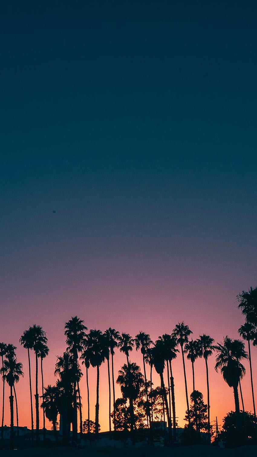 Summer Sunset iPhone To Kill That Winter Depression. Preppy, Palm Tree Sunset HD phone wallpaper