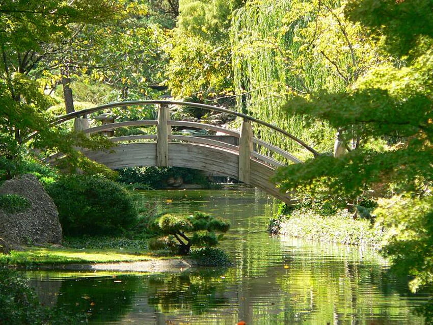 สะพานสวนญี่ปุ่น สะพาน ต้นไม้ พุ่มไม้ น้ำ วอลล์เปเปอร์ HD