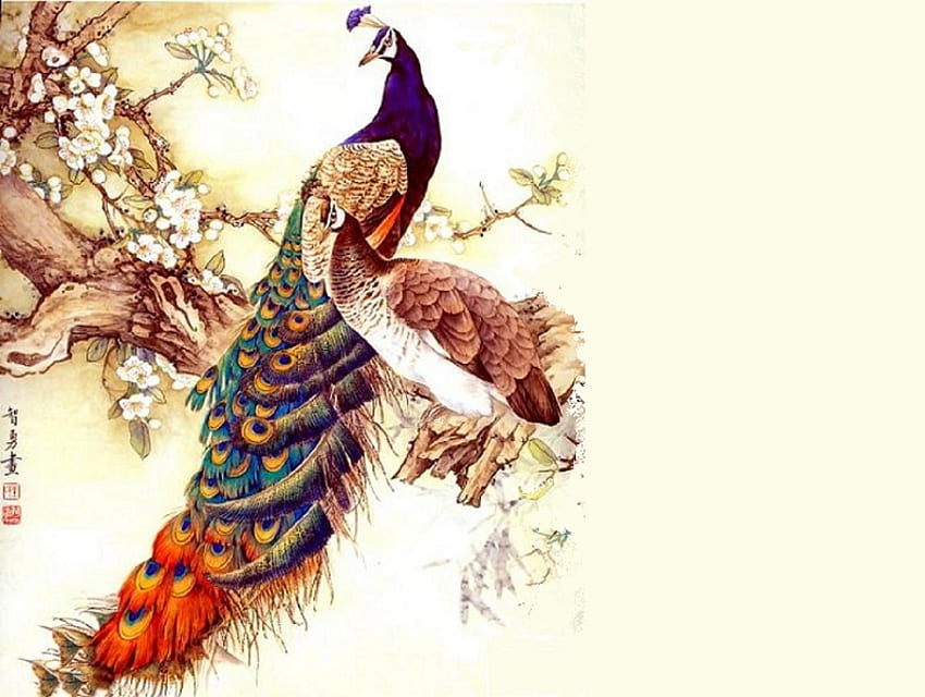 Burung di Cabang, cabang, burung, bunga, merak, merak betina, mekar Wallpaper HD