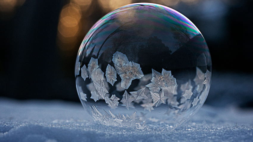 Macro Shot Of Frozen Soap Bubble, Frozen Bubbles HD wallpaper