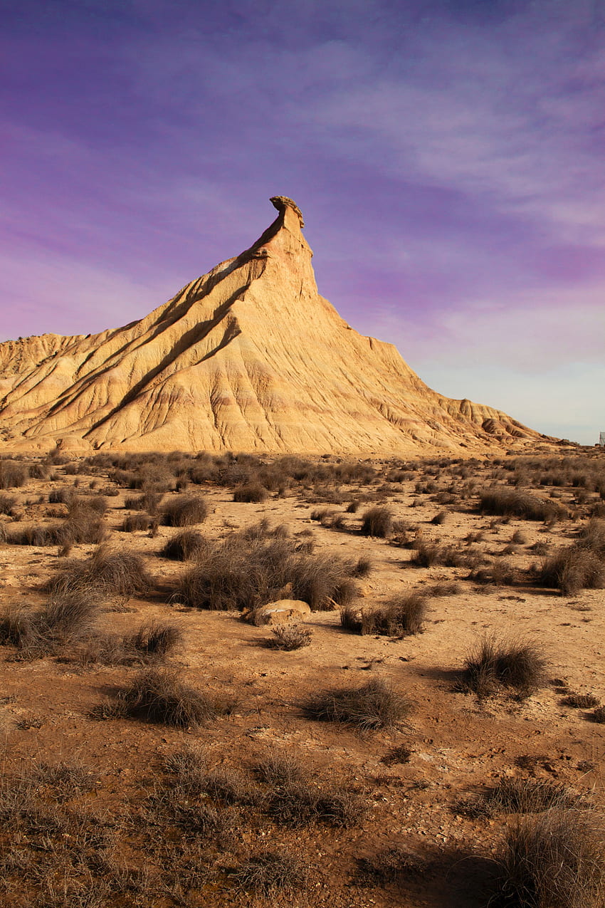 Nature, Desert, Rock, Vegetation, Spain, Rocky Formations, Bardenas Reales HD phone wallpaper