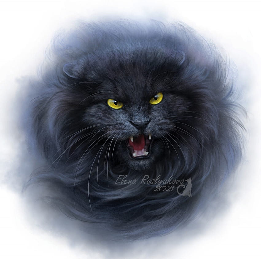 angry cat wallpaper by Bang_maruf - Download on ZEDGE™