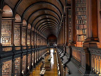 Library , background, Magic Library HD wallpaper | Pxfuel