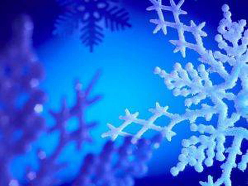 copo de nieve, invierno, azul, blanco, sueño fondo de pantalla