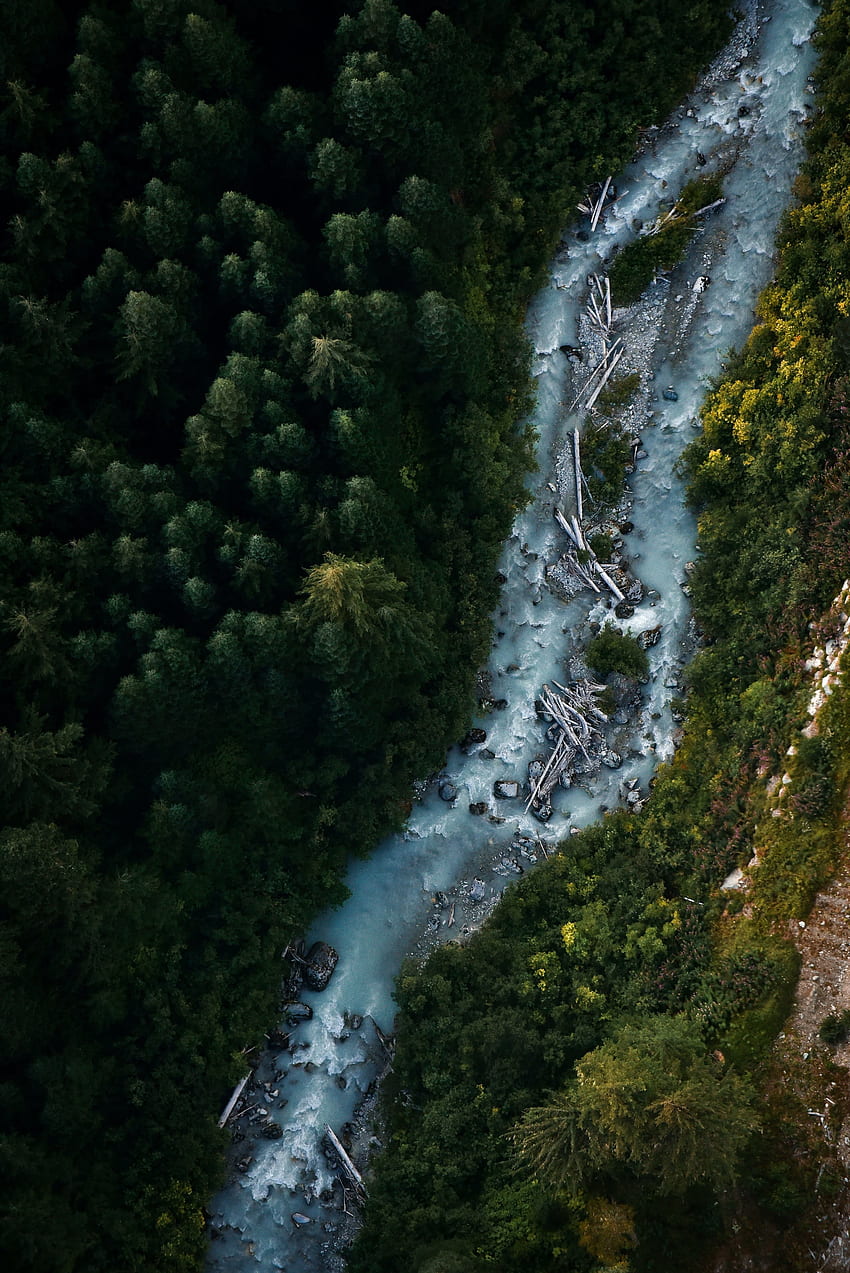 휘슬러, 캐나다, 수류, 강, 숲, 나무, 자연, 조감도 HD 전화 배경 화면