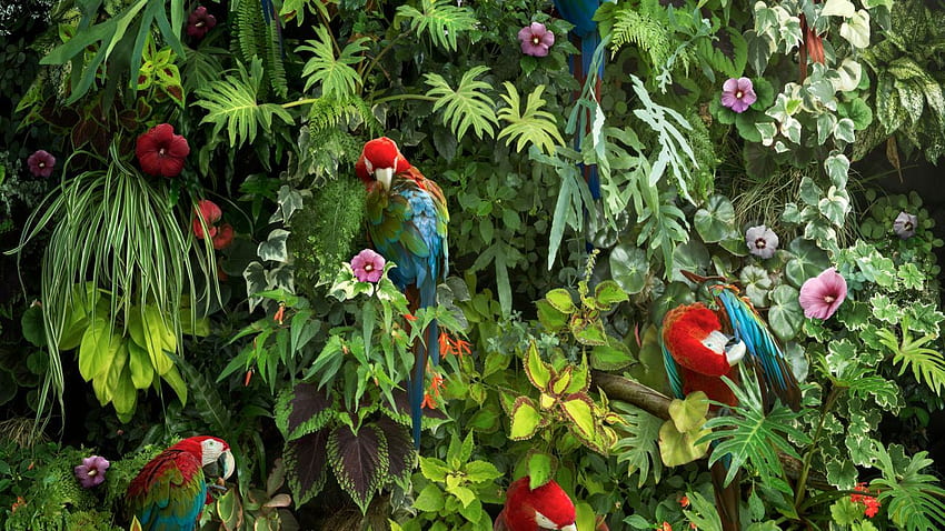 Ara, pappagalli, uccelli, foresta, fiori, foglie, , animali,. per iPhone, Android, Mobile e Sfondo HD