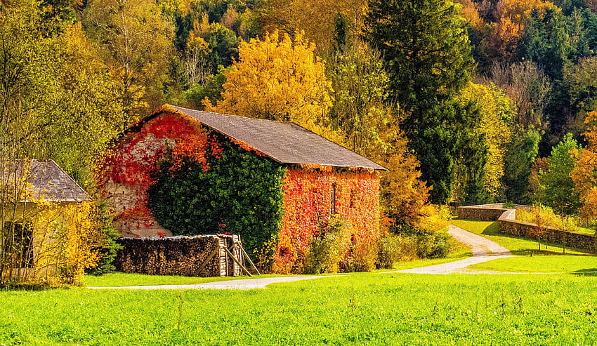 Nature, Trees, Grass, Autumn, Building HD wallpaper