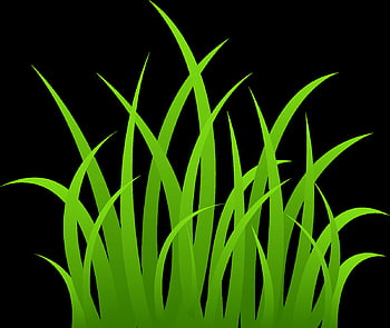 Cartoon grass png HD wallpapers | Pxfuel