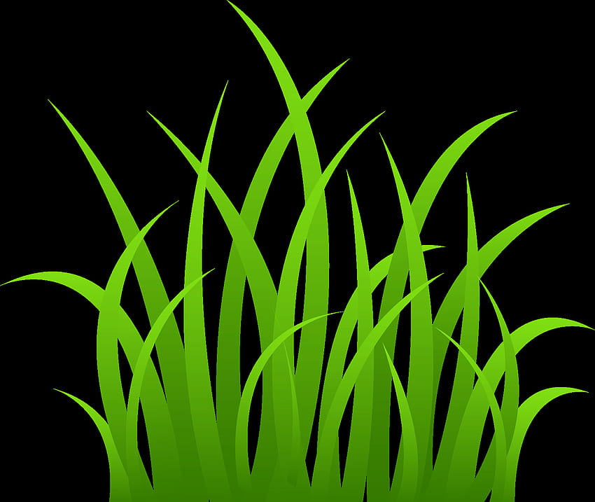 Cartoon grass HD wallpapers | Pxfuel