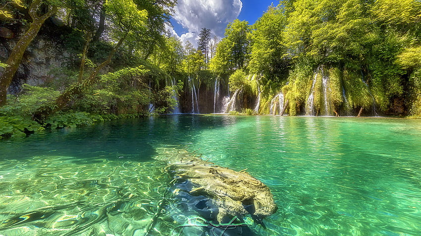 Kroatien Nationalpark Plitvicer Seen Natur [] für Ihr , Handy & Tablet. Erkunden Sie den Nationalpark Plitvicer Seen. Nationalpark Plitvicer Seen, National HD-Hintergrundbild