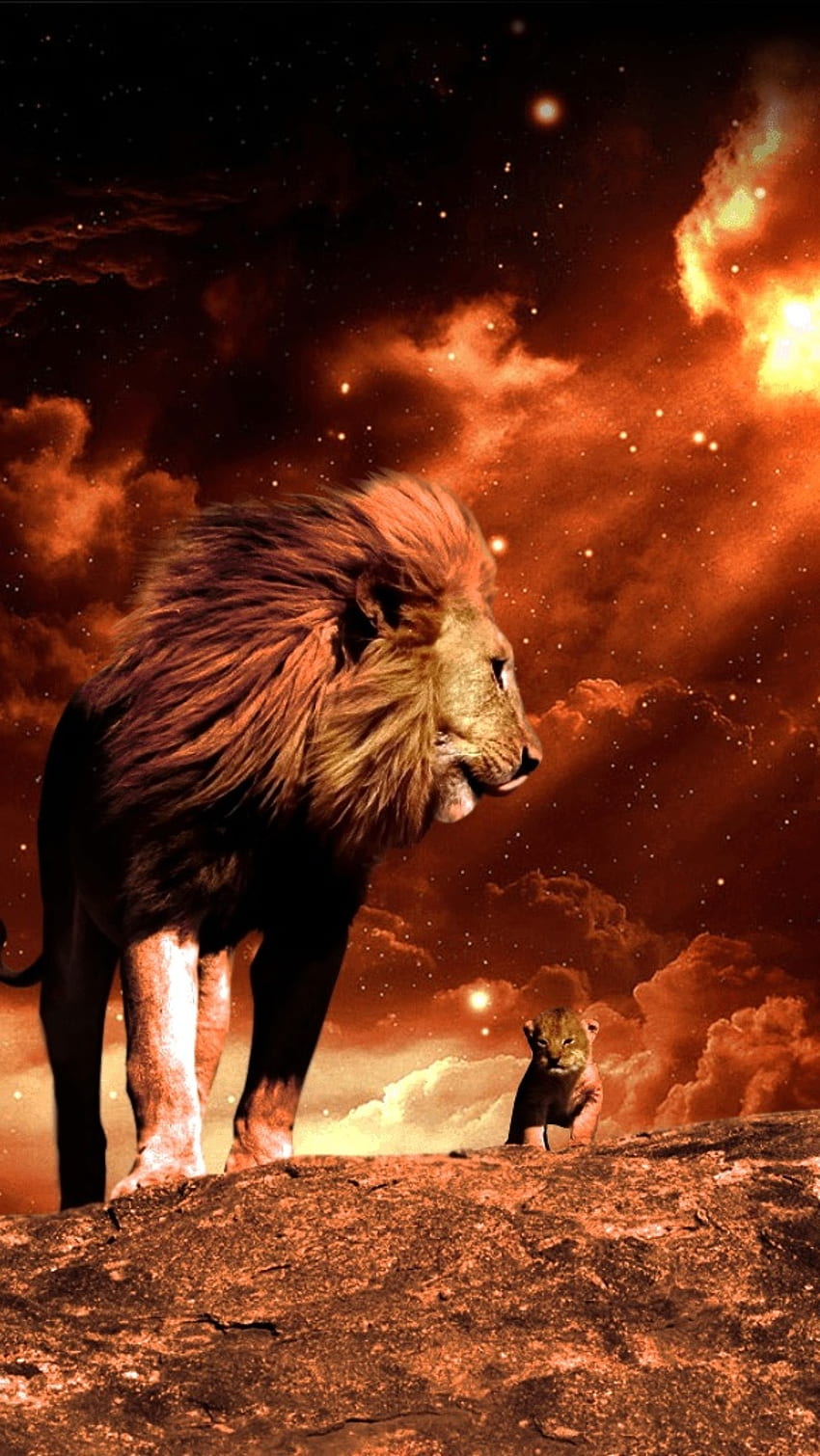 Lion , Fire Background HD phone wallpaper | Pxfuel