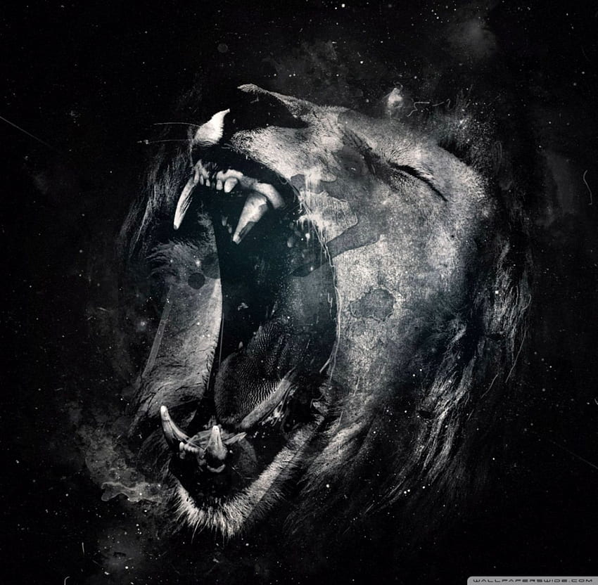 Lion Rugissement iPhone, Ultra Lion Fond d'écran HD
