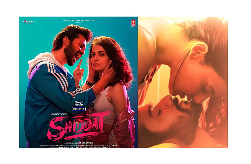 Sunny Kaushal Starrer 'Shiddat' Movie Review; Streaming On Disney+ Hotstar, Shiddat Movie HD wallpaper