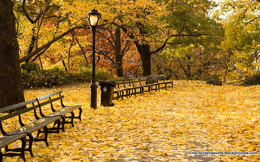 new england fall in com [] for your , Mobile & Tablet. Explore NYC Spring . Central Park Spring , NYC Winter Scenes , New England Spring HD wallpaper