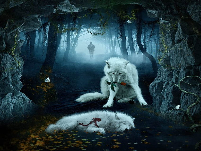 Cool Wolf Background . . Wolf HD wallpaper | Pxfuel
