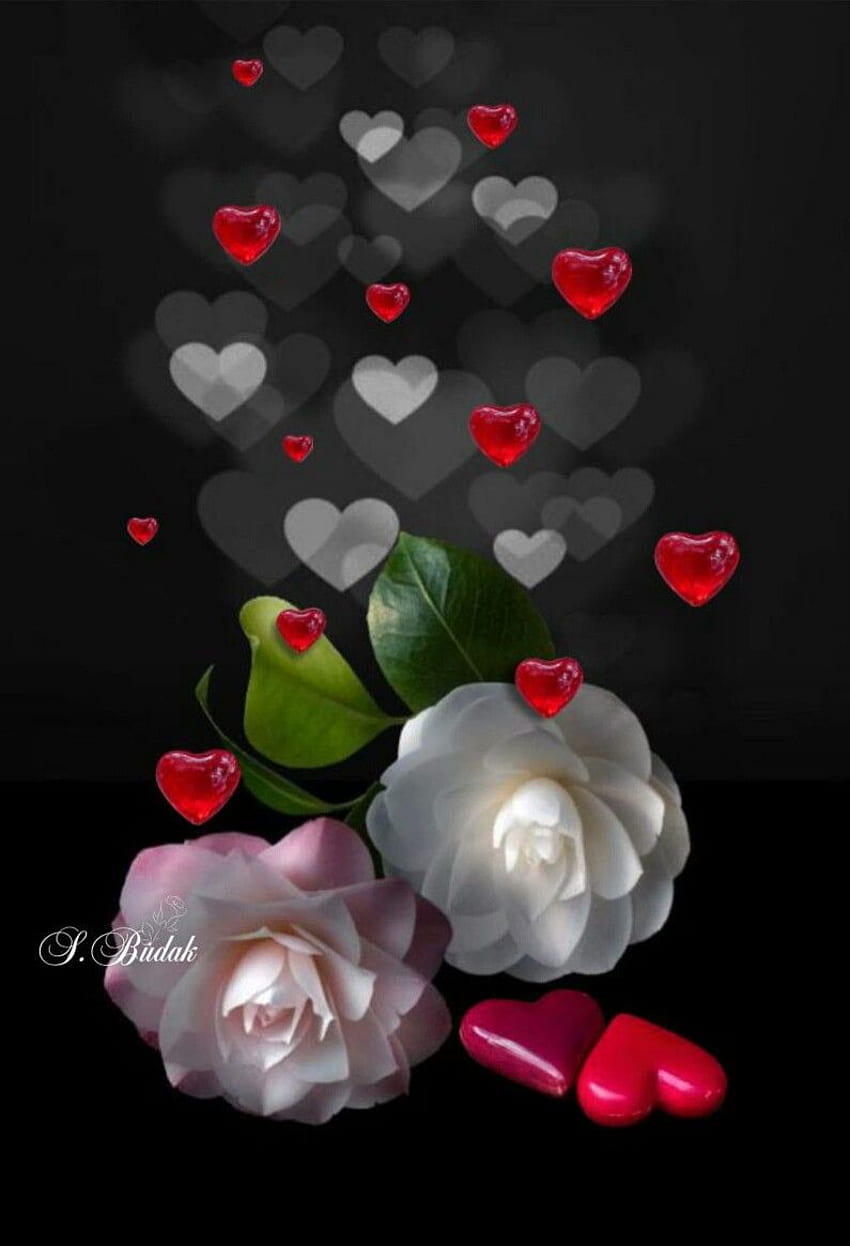 Two hearts as one Loving each other Always. Love , Beautiful flowers , Hearts and roses HD phone wallpaper