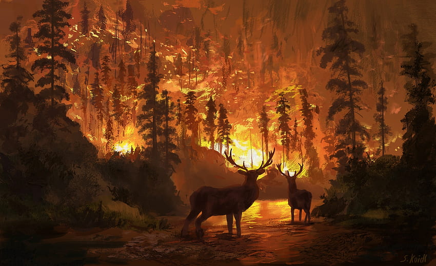 Ruined earth, fantasy, art, deer, orange, fire, forest, animal, stefan koidl, yellow, luminos, silhouette HD wallpaper