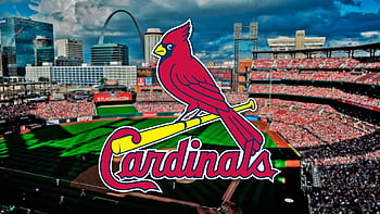 Best St louis cardinals iPhone HD Wallpapers - iLikeWallpaper