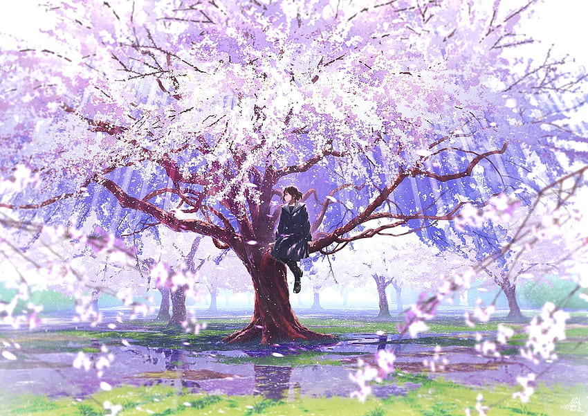 461788 cherry blossom anime girls umbrella anime  Rare Gallery HD  Wallpapers