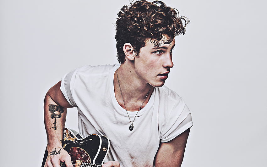 Shawn Mendes with guitar, 2020, canadian singer, music stars, Shawn Peter Raul Mendes, Shawn Mendes, canadian celebrity, Shawn Mendes hoot for with resolution . High Quality , Shawn Mendes PC HD wallpaper