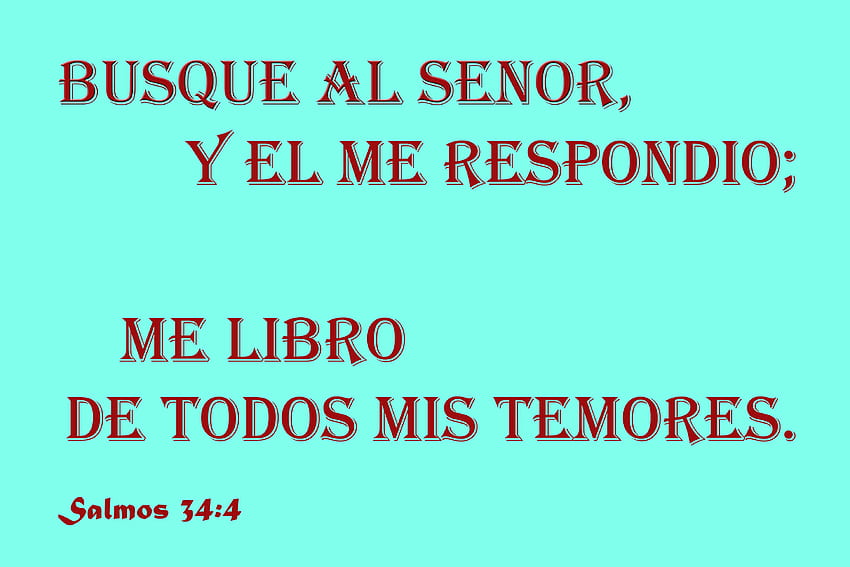 Busque Al Senor, ulga, Bóg, strach, Biblia, szukaj Tapeta HD