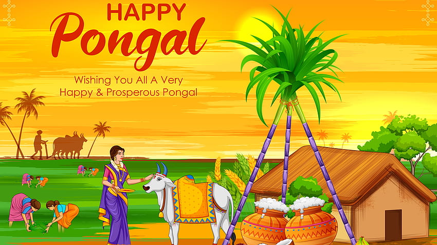 Życzę wszystkim bardzo szczęśliwego i pomyślnego Pongal Pongal Tapeta HD