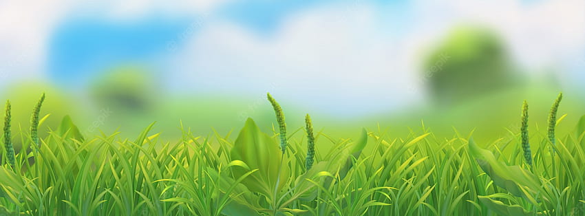 Cartoon Grass . Vectors, Stock & PSD HD wallpaper