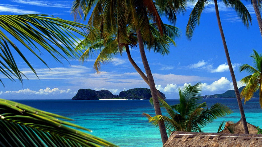 Wallpaper Palau, Philippines, ocean, islands, 5k, Nature #16669