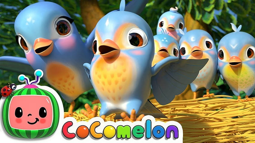Five Little Birds 3. CoCoMelon Rymowanki i piosenki dla dzieci. Dzieci Tapeta HD