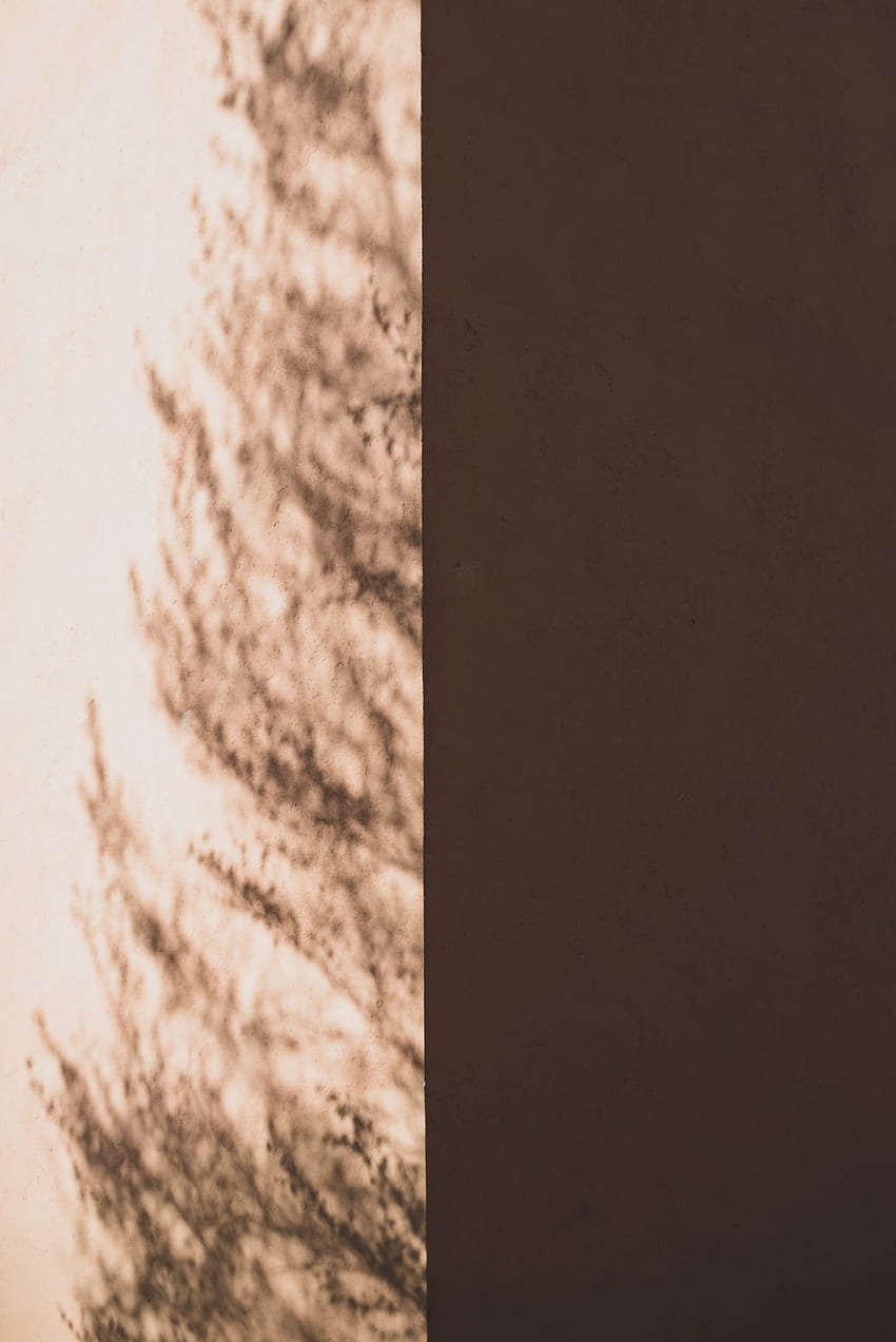 Half and Half, Split Color. best half, color, background and, Dark Brown HD phone wallpaper