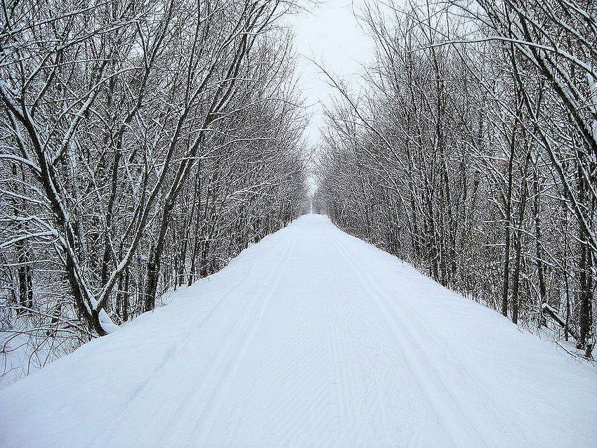 Cross Country / Down Hill Skiing. Amery, WI, Ski Trails HD wallpaper