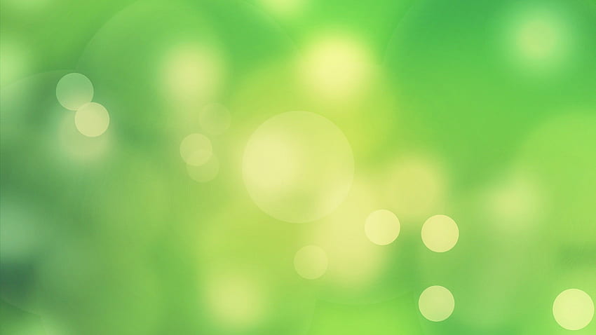 Light Green Full For Background px 137.70 KB. Green background, Background , Green, Light Green Plain HD wallpaper